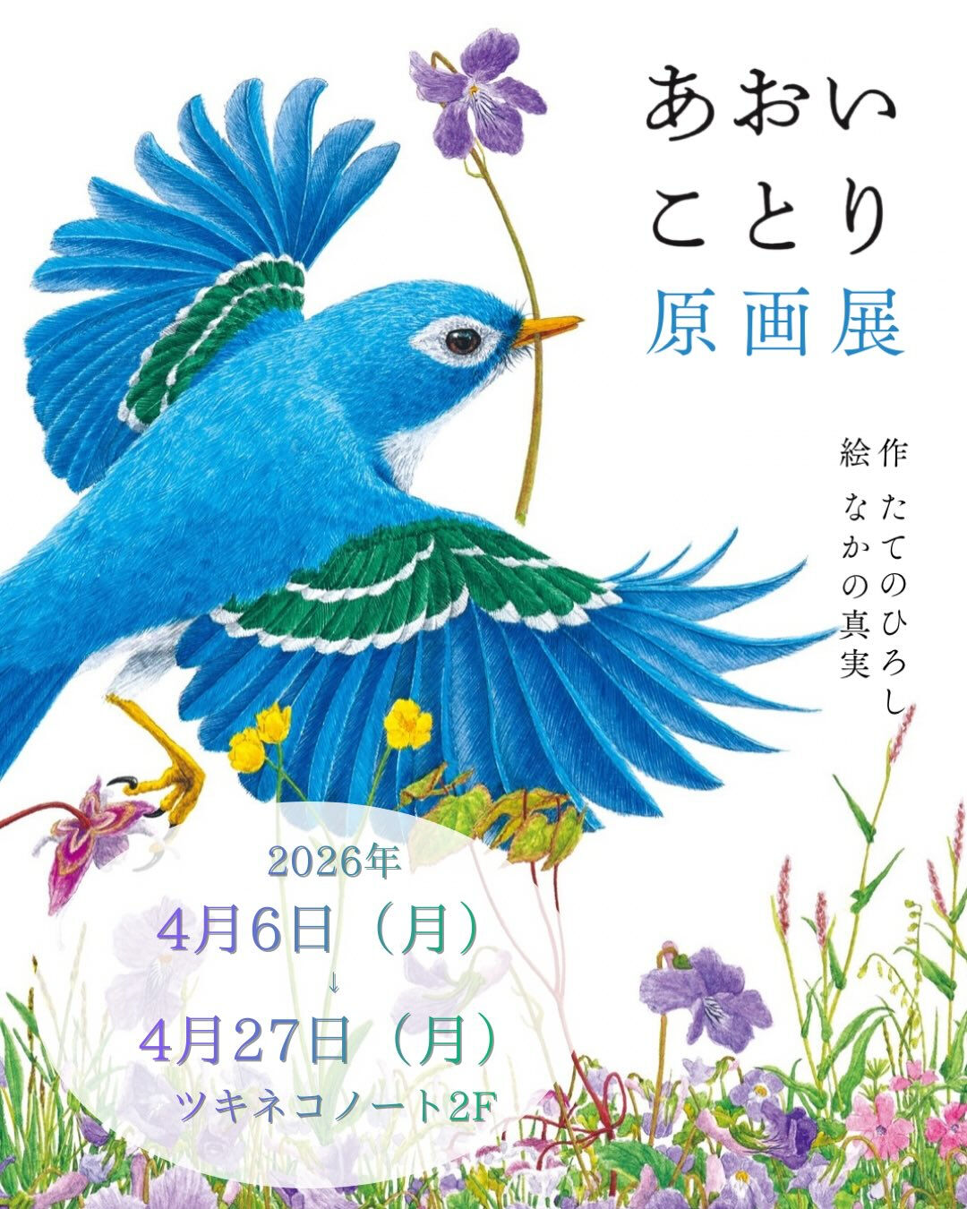 【あおいことり原画展開催のお知らせ】