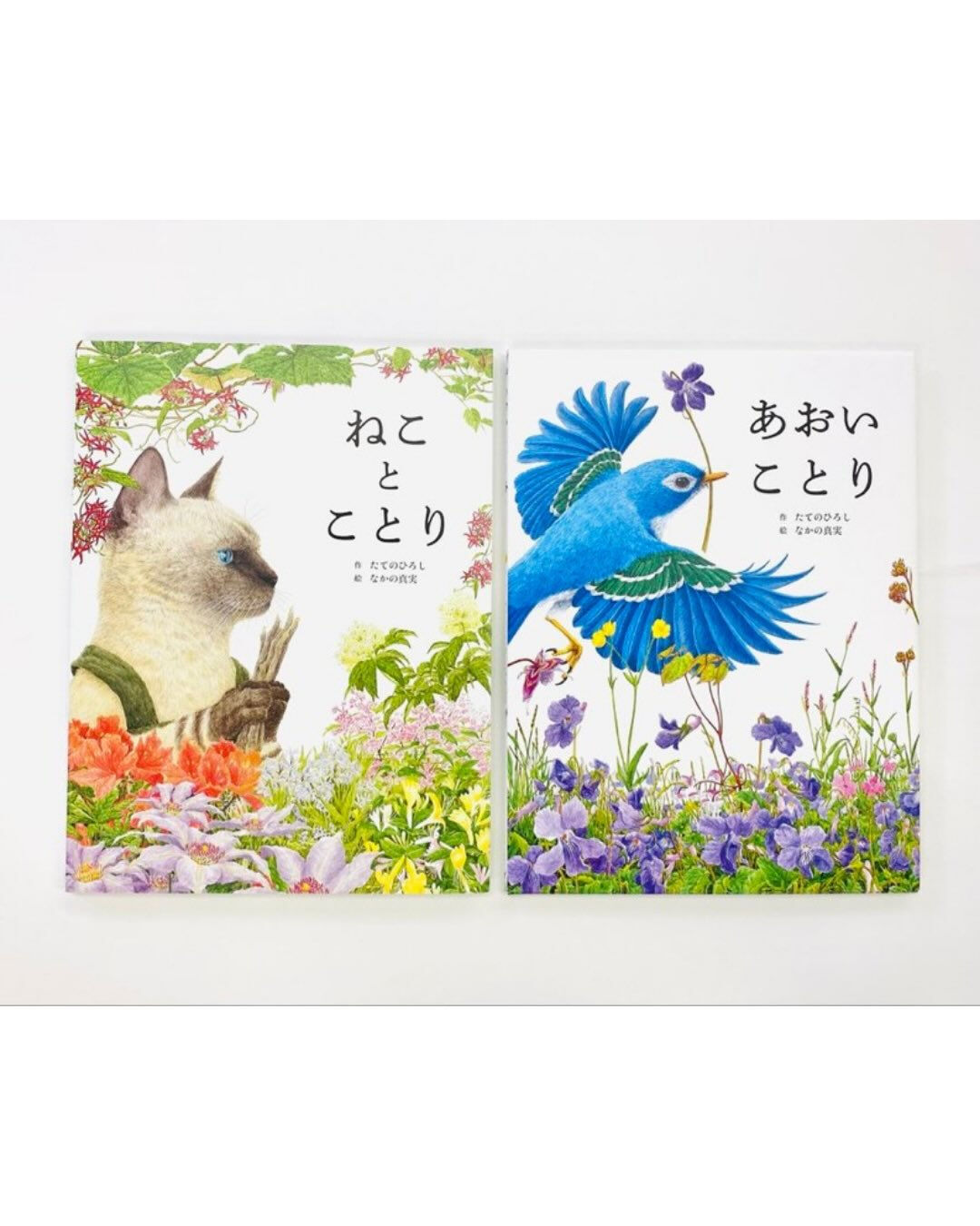 【あおいことり原画展開催のお知らせ】