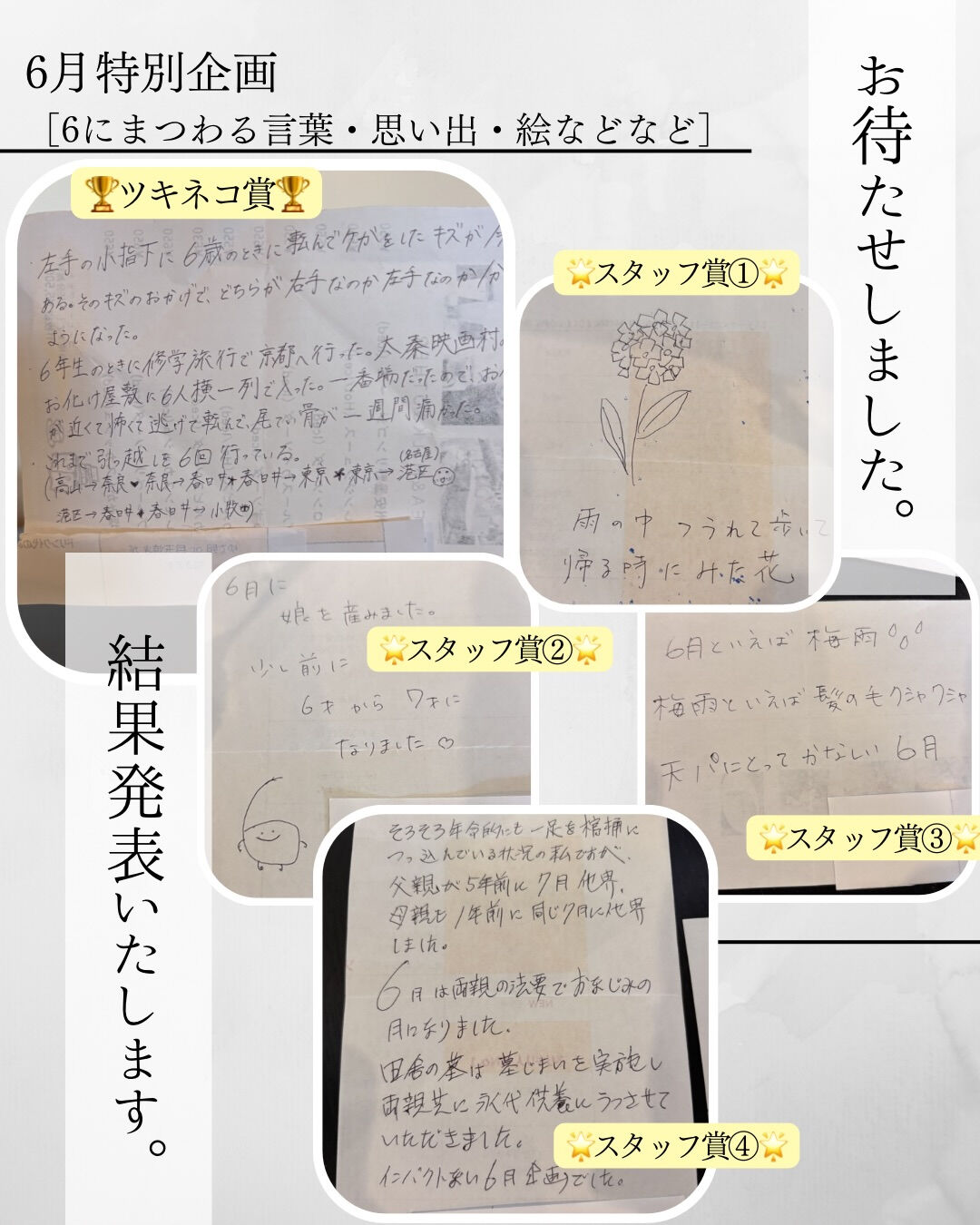 6月特別企画の結果発表‼️☔️🐸