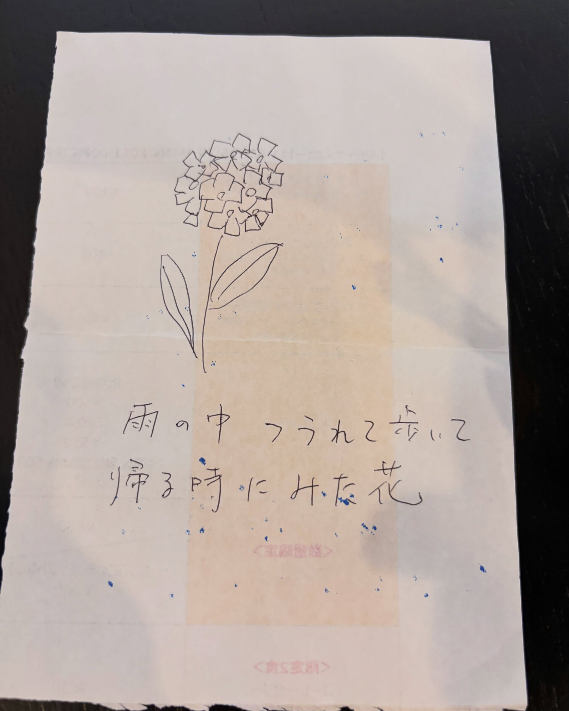 6月特別企画の結果発表‼️☔️🐸