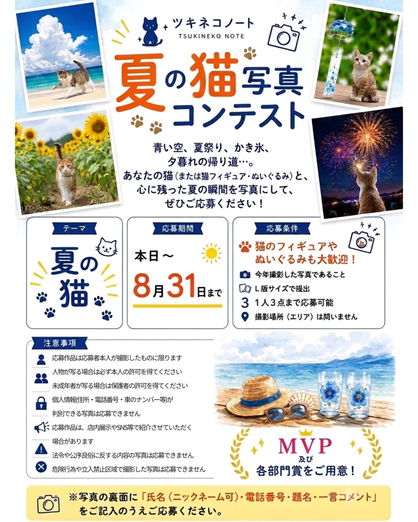 🌞 「夏の猫写真コンテスト」開催します！ 🐱